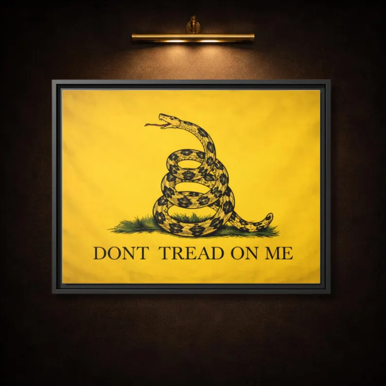 Gadsden Flag 'Don't Tread on Me' framed canvas on a dark wall lit by a brass picture light